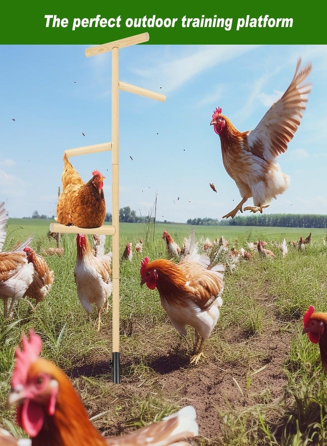 DoubleFill قطعتان من مجثم الدجاج الكبير جدًا للعب في قن الدجاج، حامل مجثم خشبي بطول 57 بوصة مع قضيب متين، ألعاب إثراء للدجاج في قن الدجاج، سهل التركيب، يأتي مع فيديو تعليمي للتركيب - Image 4